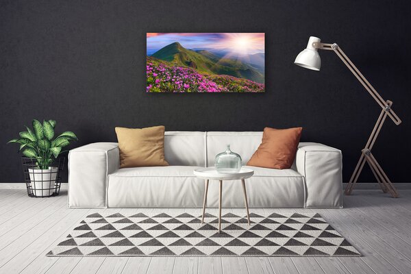 Quadro su tela Montagne. Prato. Fiori. Paesaggio 100x50 cm