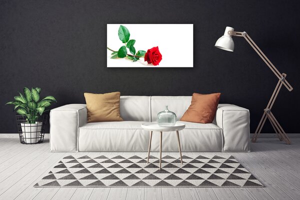 Quadro su tela Natura della pianta del fiore della rosa 100x50 cm