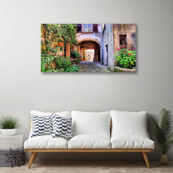 Quadro stampa su tela Vicolo. Fiori. Case 100x50 cm