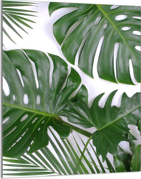 Piastra copri fornelli 40x52 Piastra copri piano cottura in Vetroceramica alzatina in vetro tagliere decorativo, fogliame Monstera