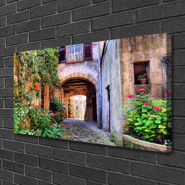 Quadro stampa su tela Vicolo. Fiori. Case 100x50 cm
