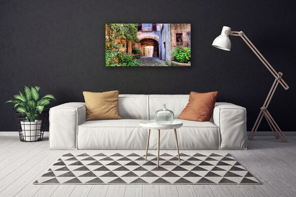 Quadro stampa su tela Vicolo. Fiori. Case 100x50 cm