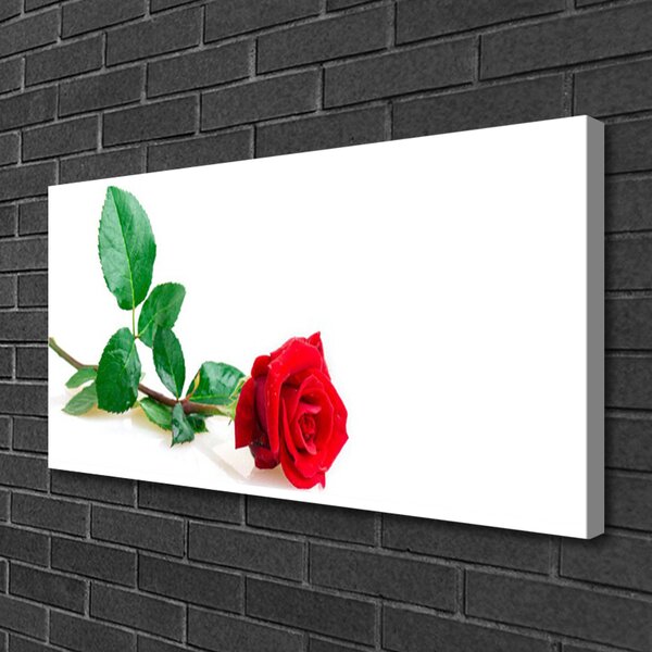 Quadro su tela Natura della pianta del fiore della rosa 100x50 cm