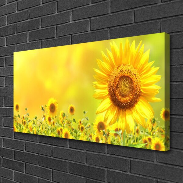 Stampa quadro su tela Pianta di fiori di girasole 100x50 cm