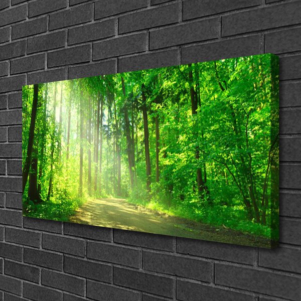 Quadro su tela Foresta. Corsia. Alberi. Natura 100x50 cm