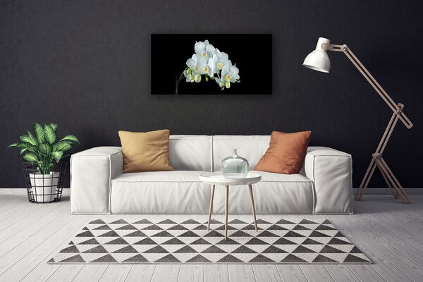 Stampa quadro su tela Fiori, piante, natura 100x50 cm