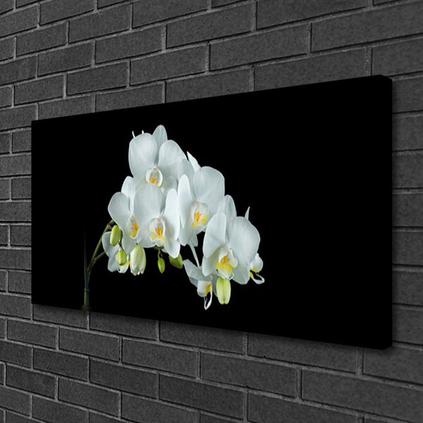 Stampa quadro su tela Fiori, piante, natura 100x50 cm