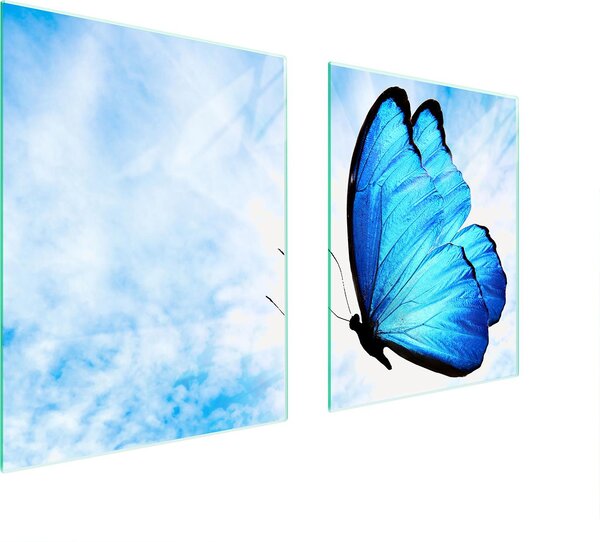 Piastra Di Protezione In Vetrina Per L'erba 85X52 Butterfly
