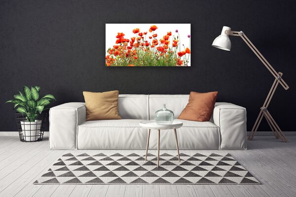 Quadro su tela Natura, papaveri, piante 100x50 cm