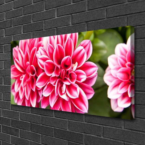 Quadro su tela Fiori, piante, natura 100x50 cm