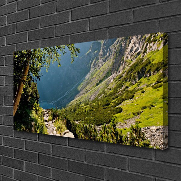Quadro su tela Natura della foresta di montagna 100x50 cm