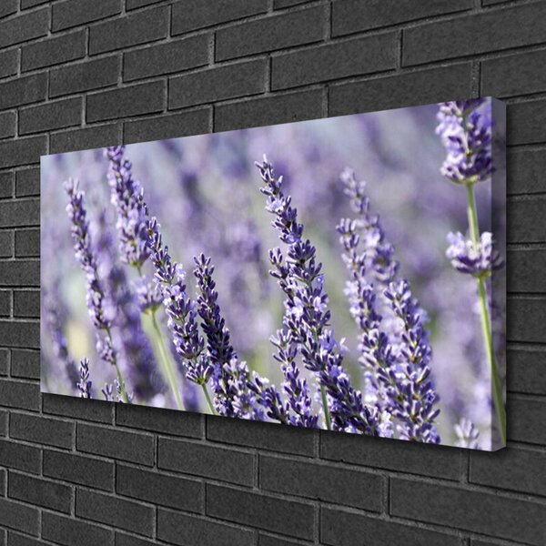 Foto quadro su tela Fiori, piante, natura 100x50 cm