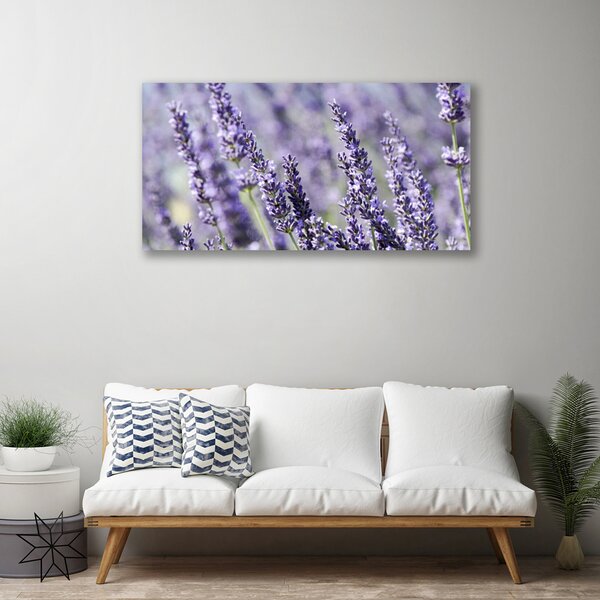 Foto quadro su tela Fiori, piante, natura 100x50 cm