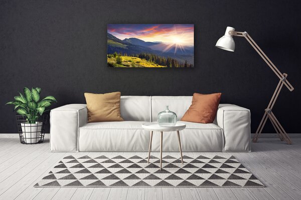 Quadro su tela Paesaggio del sole della montagna della foresta 100x50 cm