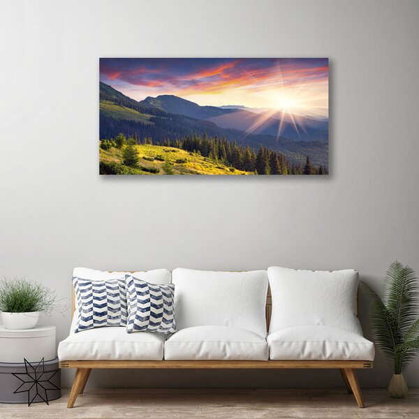 Quadro su tela Paesaggio del sole della montagna della foresta 100x50 cm