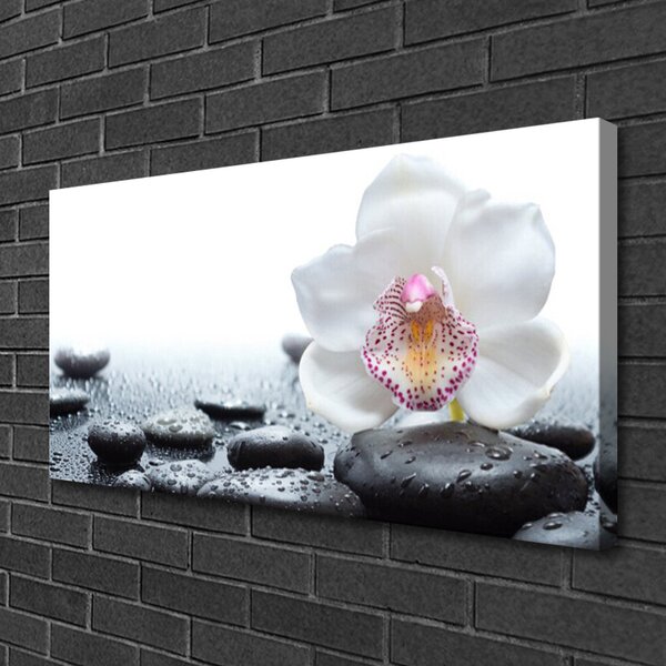 Quadro su tela Arte dell'orchidea del fiore 100x50 cm