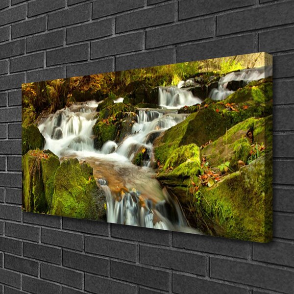 Quadro su tela Cascata delle rocce della natura 100x50 cm