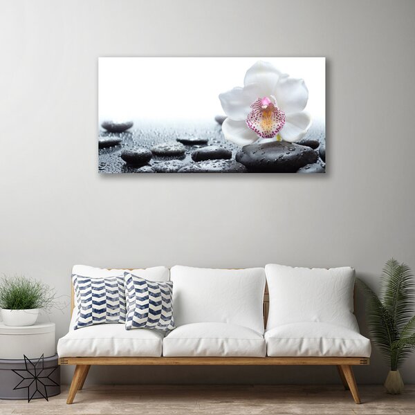 Quadro su tela Arte dell'orchidea del fiore 100x50 cm
