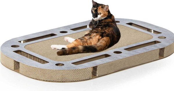 PlayPlate | Parco giochi per gatti con tiragraffi | Gatto canadese | con aspetto in calcestruzzo