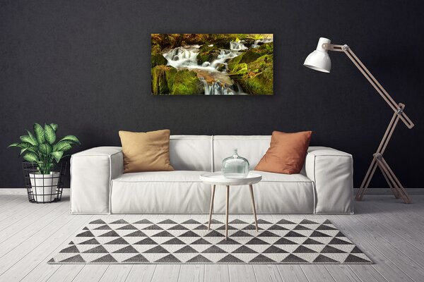 Quadro su tela Cascata delle rocce della natura 100x50 cm