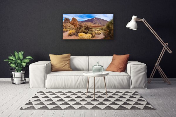 Quadro su tela Paesaggio roccioso vegetale 100x50 cm