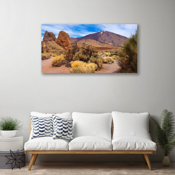 Quadro su tela Paesaggio roccioso vegetale 100x50 cm