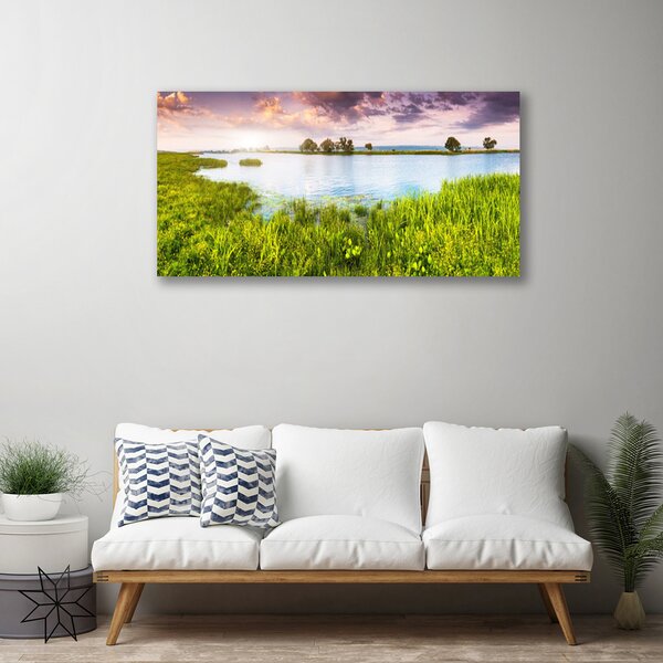 Quadro su tela Erba, Lago. Natura 100x50 cm