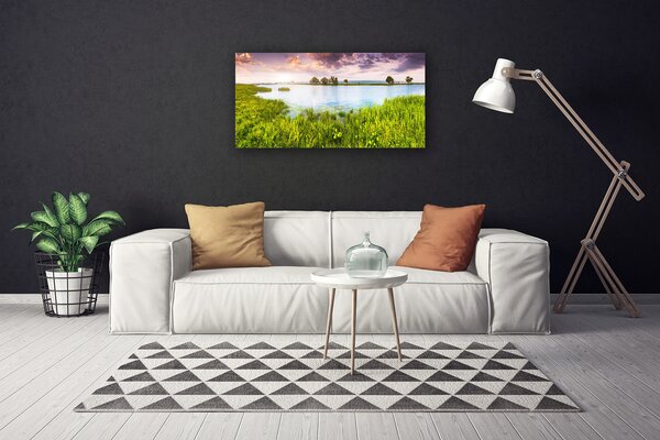 Quadro su tela Erba, Lago. Natura 100x50 cm