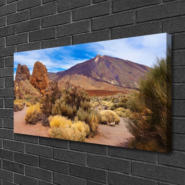 Quadro su tela Paesaggio roccioso vegetale 100x50 cm