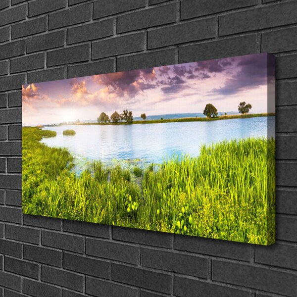 Quadro su tela Erba, Lago. Natura 100x50 cm