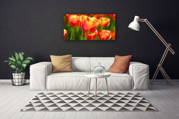 Stampa quadro su tela Tulipani, fiori, piante 100x50 cm