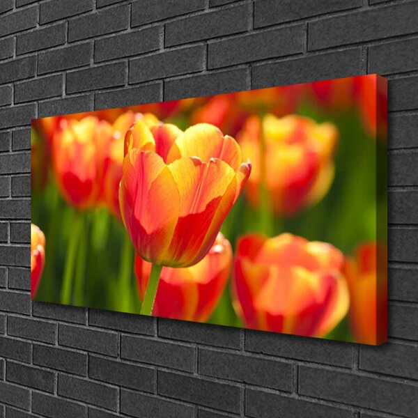 Stampa quadro su tela Tulipani, fiori, piante 100x50 cm