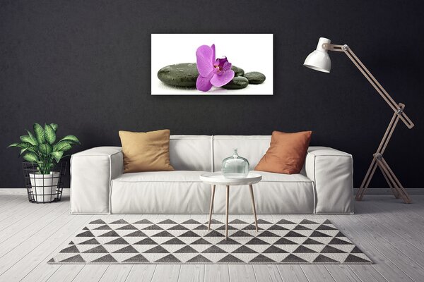 Quadro su tela Fiore di orchidea orchidea 100x50 cm