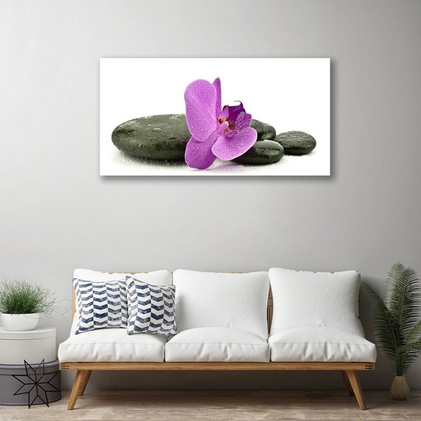 Quadro su tela Fiore di orchidea orchidea 100x50 cm