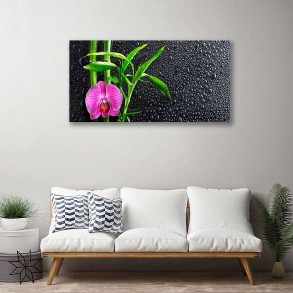 Quadro su tela Gocce di fiori di bambù 100x50 cm
