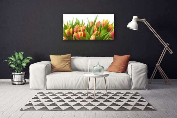 Quadro su tela Tulipani, fiori, piante 100x50 cm