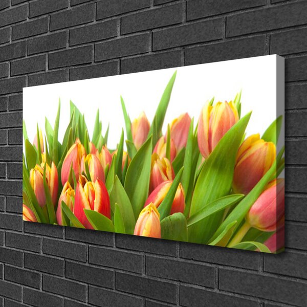 Quadro su tela Tulipani, fiori, piante 100x50 cm
