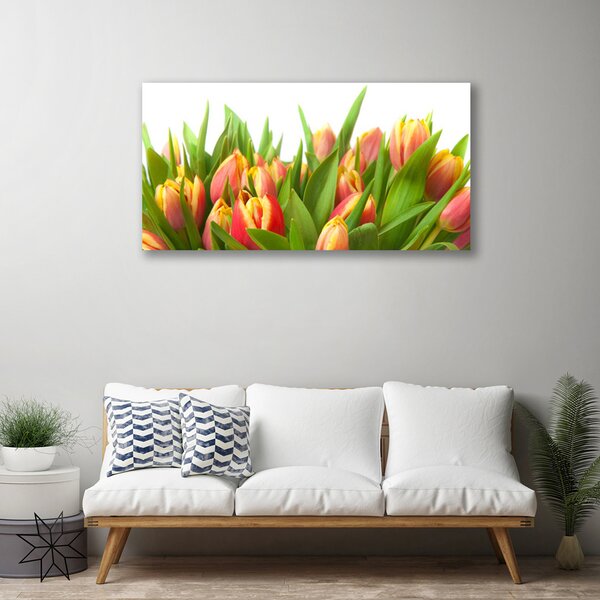 Quadro su tela Tulipani, fiori, piante 100x50 cm