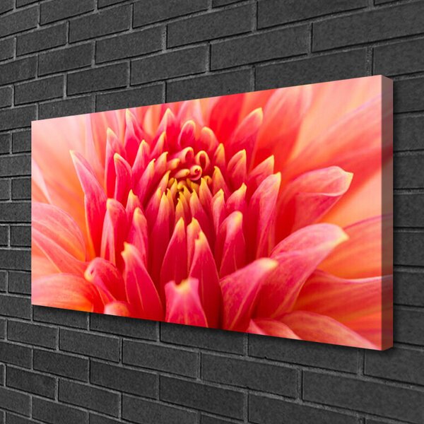 Quadro su tela Fiore, pianta, natura 100x50 cm