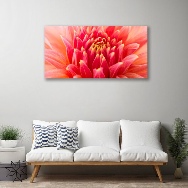 Quadro su tela Fiore, pianta, natura 100x50 cm