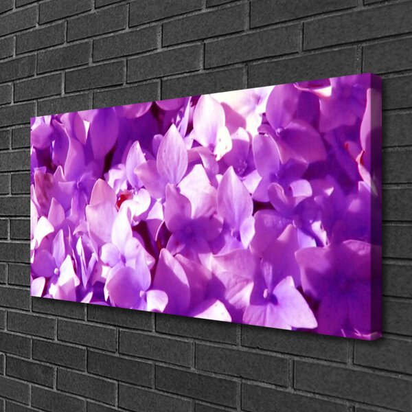 Quadro stampa su tela Fiori, piante, natura 100x50 cm