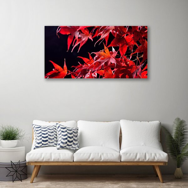 Quadro su tela Foglie di piante naturali 100x50 cm