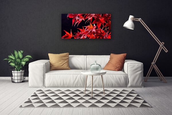 Quadro su tela Foglie di piante naturali 100x50 cm