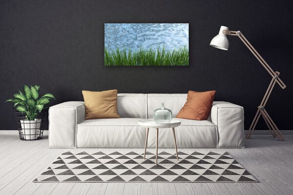 Quadro su tela Erba, acqua, natura 100x50 cm