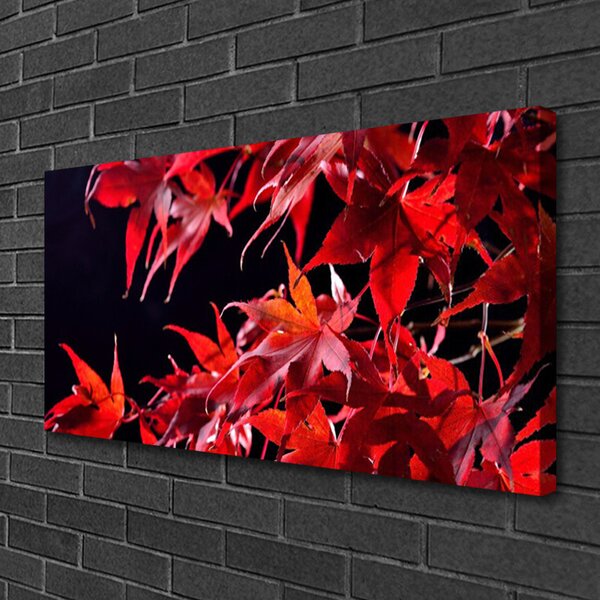 Quadro su tela Foglie di piante naturali 100x50 cm