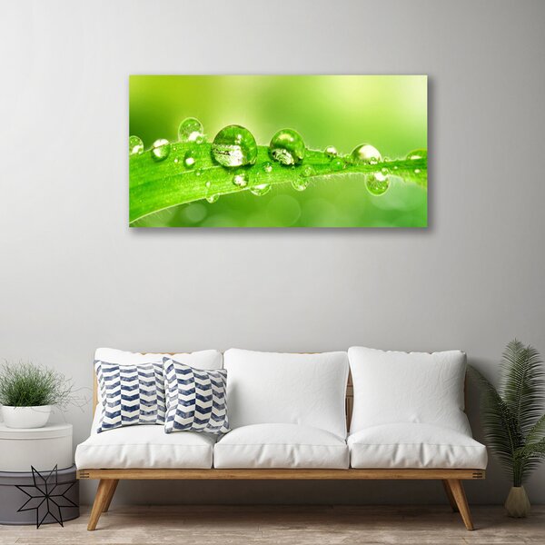 Stampa quadro su tela Foglia, gocce, pianta di rugiada 100x50 cm