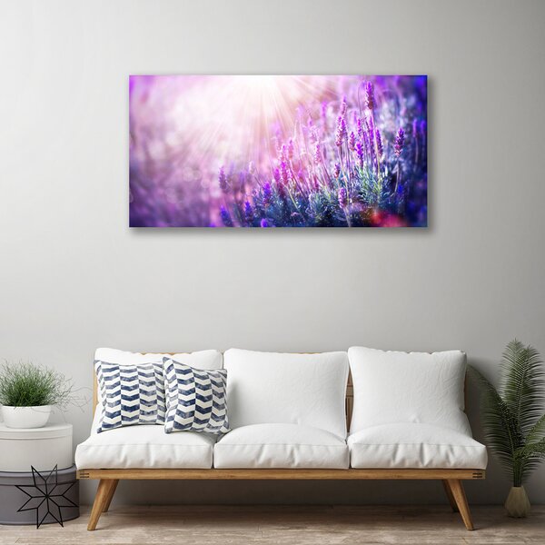 Stampa quadro su tela Fiori, piante, natura 100x50 cm