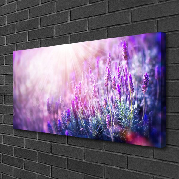Stampa quadro su tela Fiori, piante, natura 100x50 cm