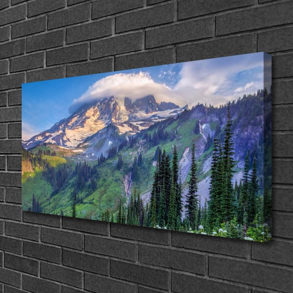 Quadro su tela Paesaggio della natura della foresta di montagna 100x50 cm