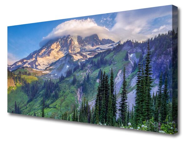 Quadro su tela Paesaggio della natura della foresta di montagna 100x50 cm